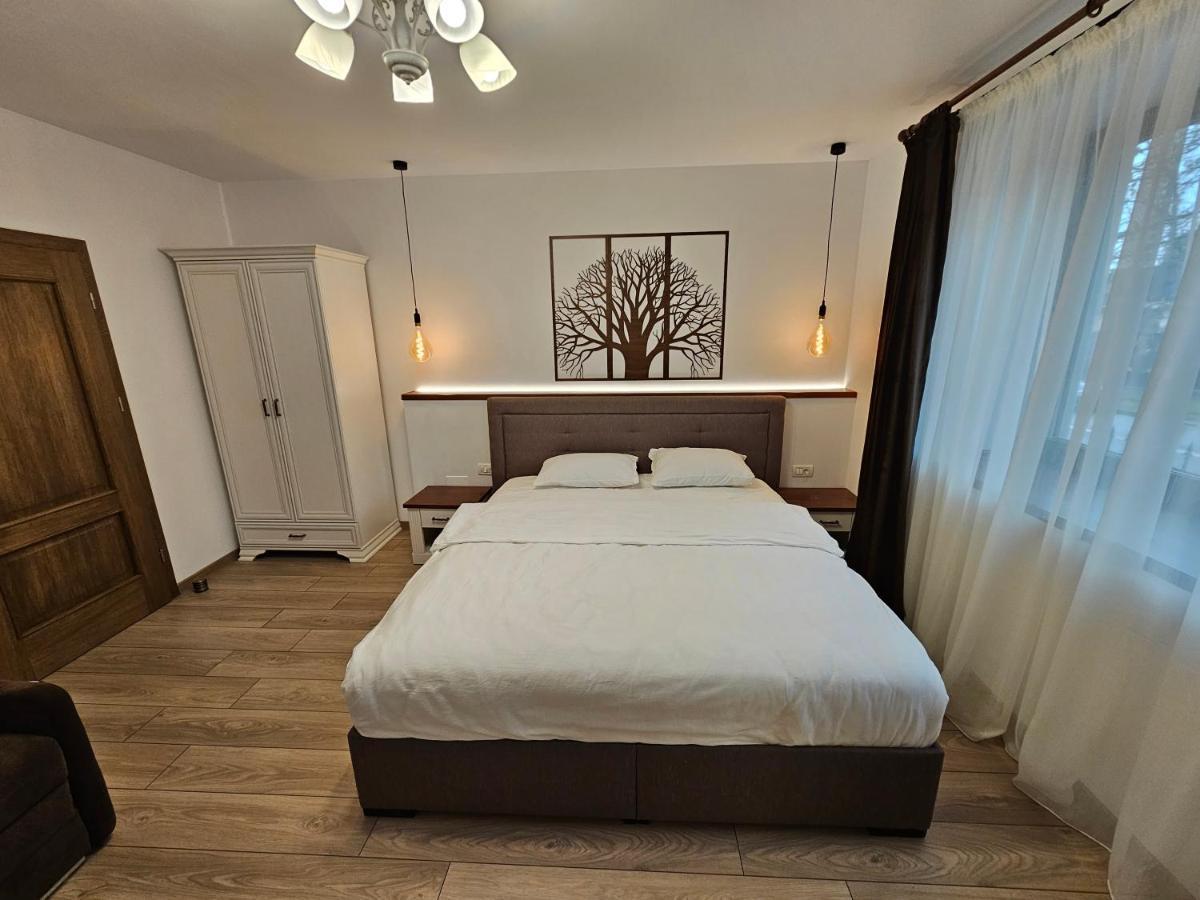 Arbor Inn Брашов Екстер'єр фото